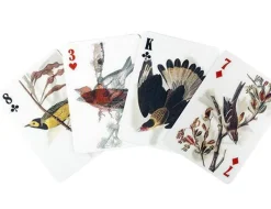 3D Bird Playing Cards