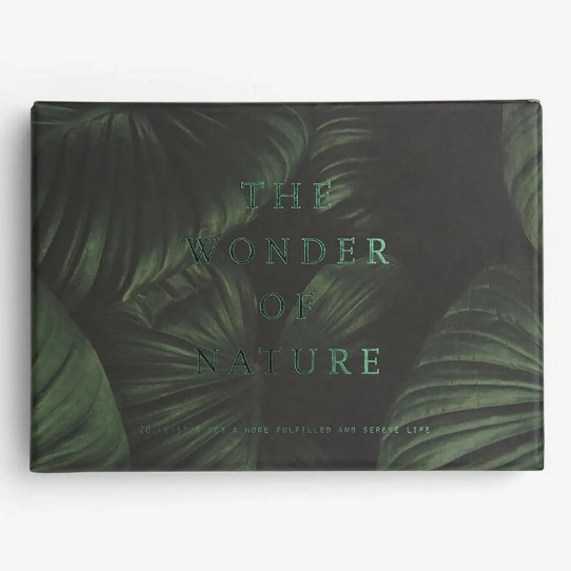 The Wonder Of Nature Cards